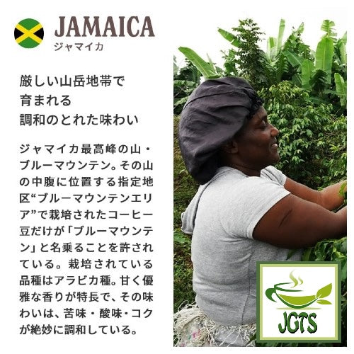 (UCC) Coffee Exploration Local Blend Assortment Pack - Coffee beans from Jamaica